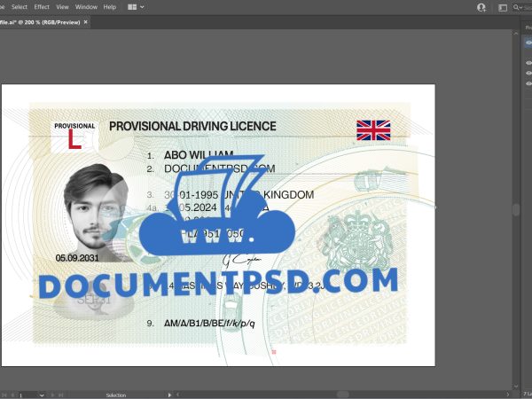 United Kingdom Provisional Drivers License Vector AI