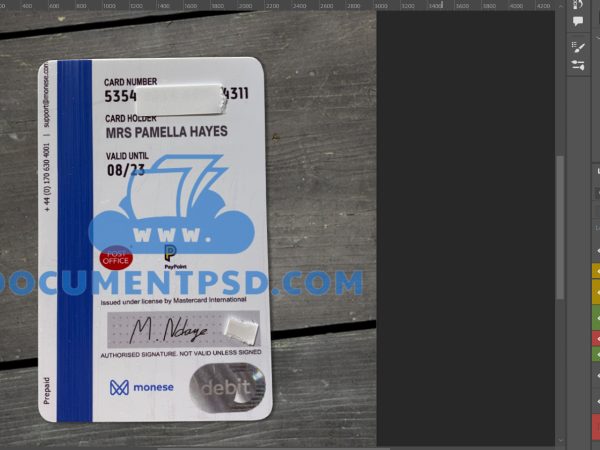 Card Monese Mockup