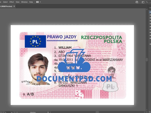 Poland Driver License VECTOR AI