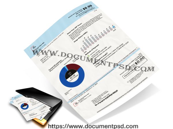 AEP Texas Electric Bill Texas PSD Template