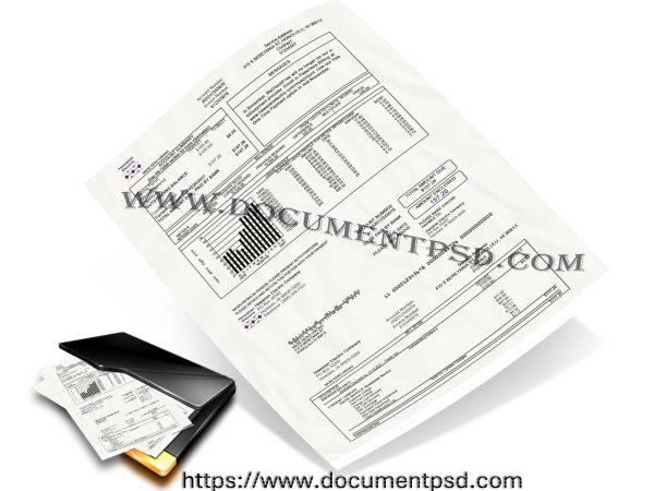 Hawaiian Electric Company Utility Statement PSD Template