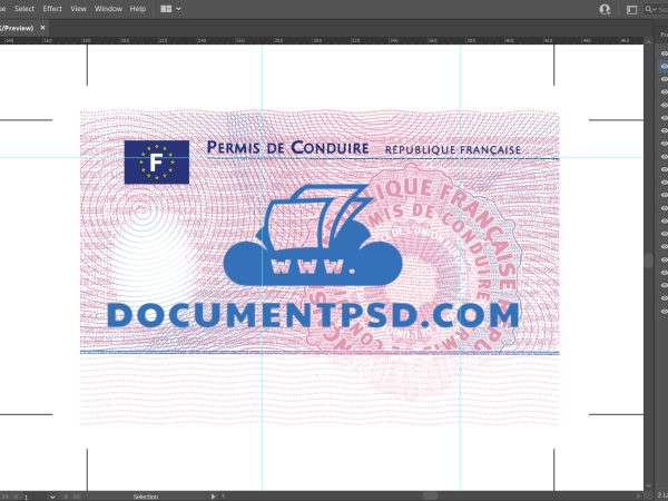 French Driver's License VECTOR AI