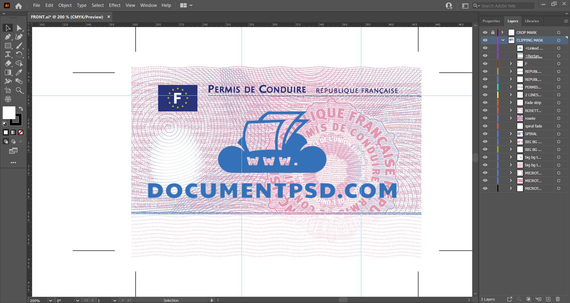 French Driver's License VECTOR AI